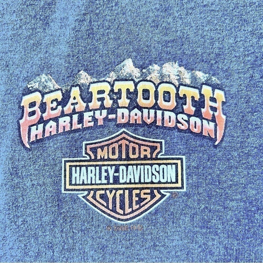 Bear tooth Harley Davidson men’s sleeveless t-shirt - Picture 3 of 4